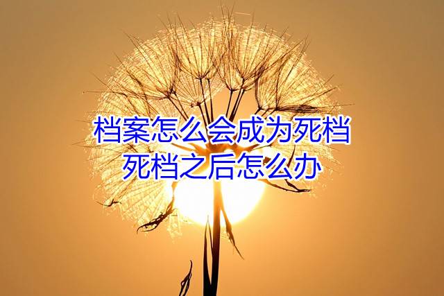 档案怎么会成为死档，死档之后怎么办