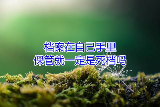 档案在自己手里保管就一定是死档吗
