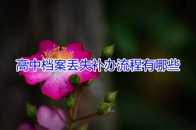 高中档案丢失补办流程有哪些
