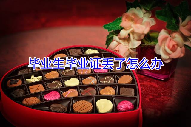 毕业生毕业证丢了怎么办