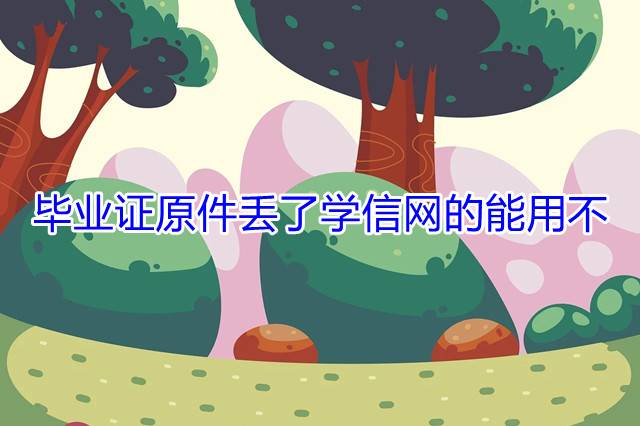 毕业证原件丢了学信网的能用不