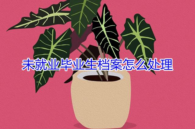 未就业毕业生档案怎么处理