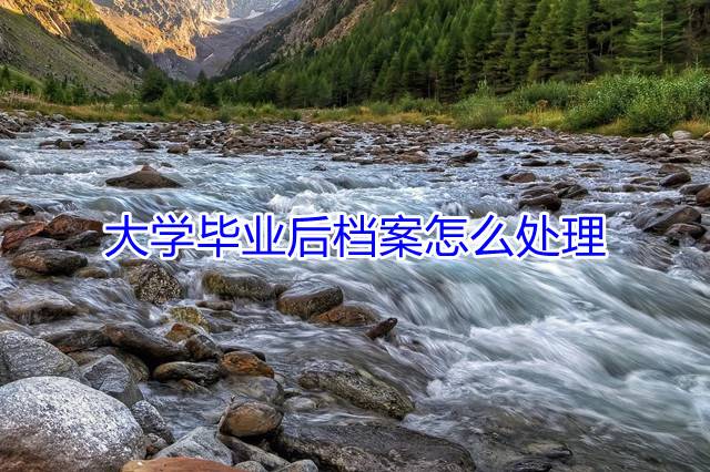 大学毕业后档案怎么处理