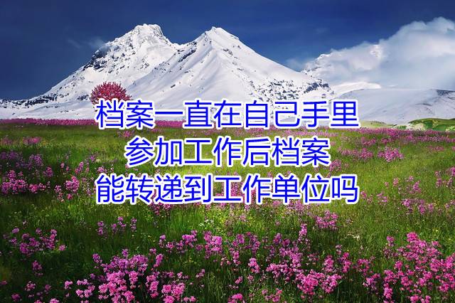 档案一直在自己手里参加工作后档案能转递到工作单位吗