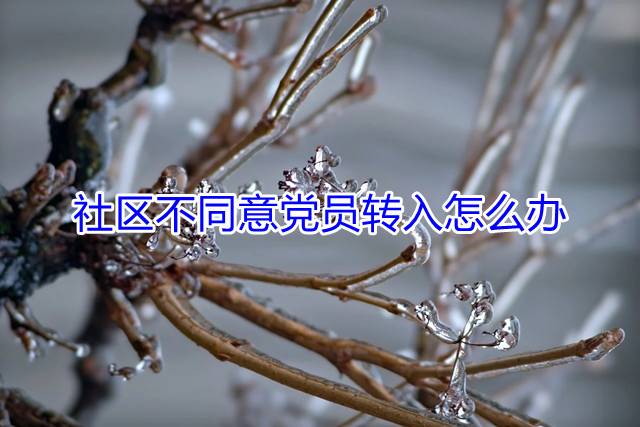 社区不同意党员转入怎么办