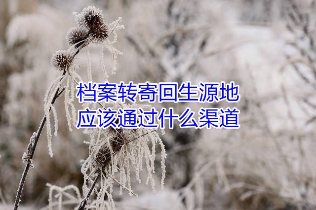 档案转寄回生源地应该通过什么渠道