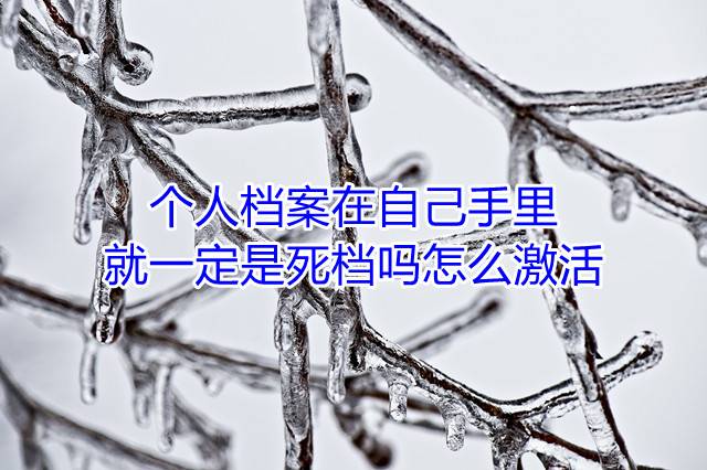 个人档案在自己手里就一定是死档吗，怎么激活