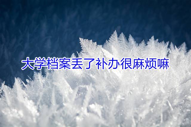 大学档案丢了补办很麻烦嘛