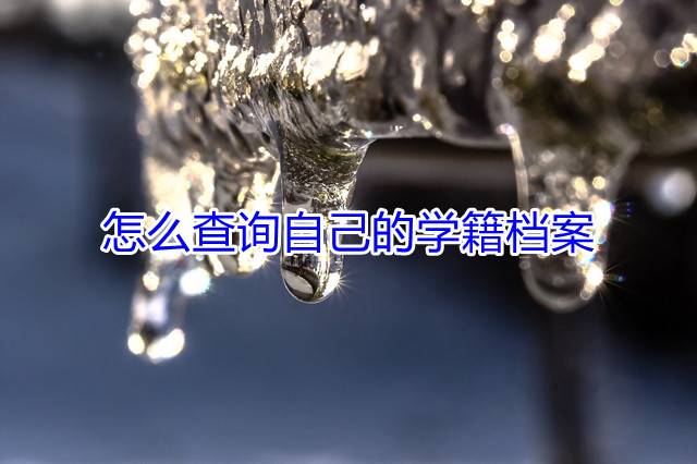 怎么查询自己的学籍档案