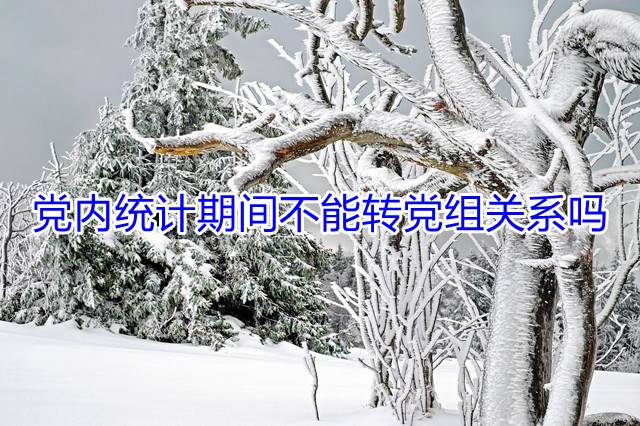 党内统计期间不能转党组关系吗