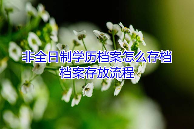 非全日制学历档案怎么存档，档案存放流程