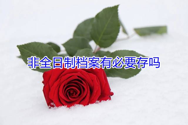 非全日制档案有必要存吗