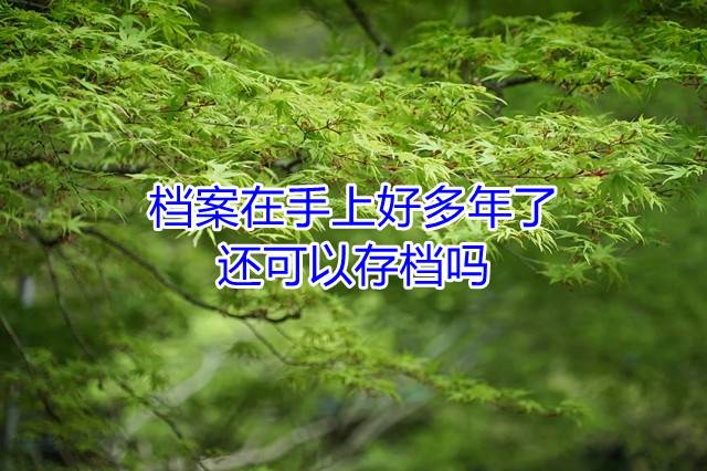 档案在手上好多年了,还可以存档吗