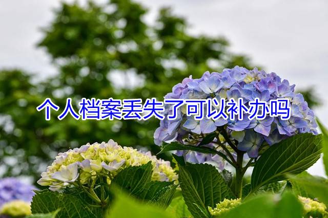 个人档案丢失了可以补办吗