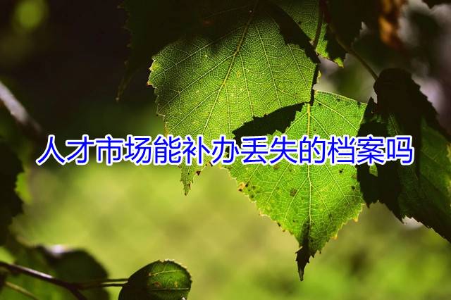 人才市场能补办丢失的档案吗