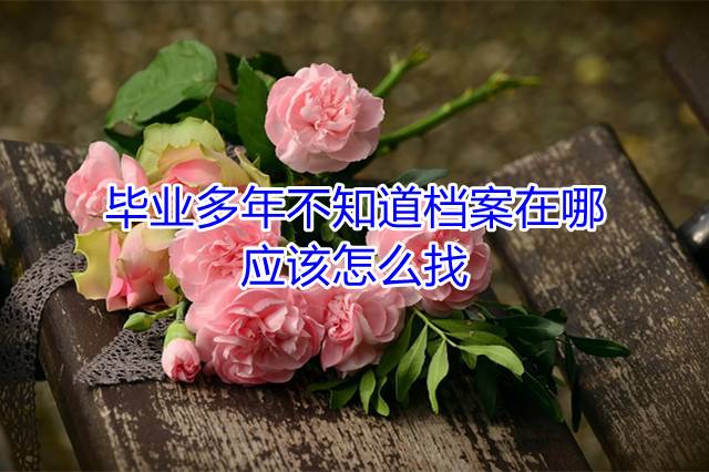 毕业多年不知道档案在哪应该怎么找