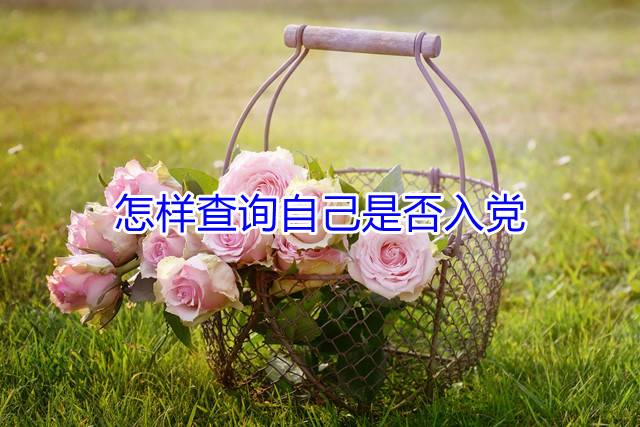 怎样查询自己是否入党