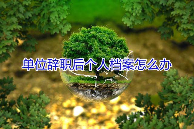 单位辞职后个人档案怎么办