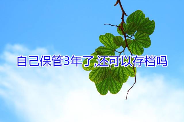 自己保管3年了,还可以存档吗