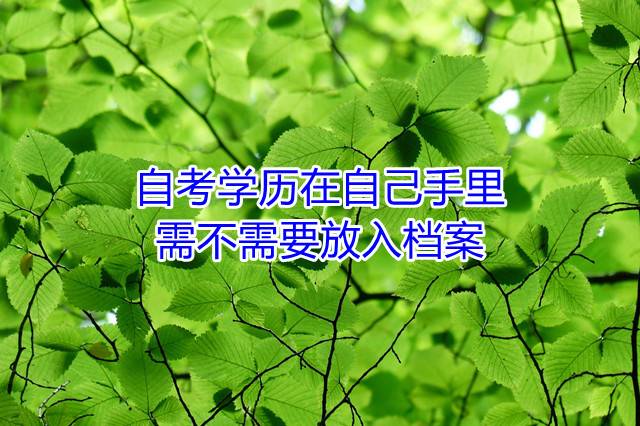 自考学历在自己手里，需不需要放入档案
