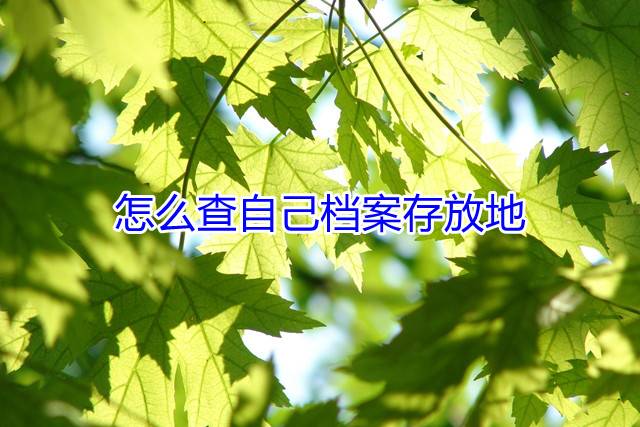 怎么查自己档案存放地