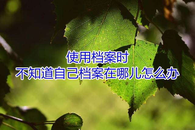 使用档案时，不知道自己档案在哪儿怎么办