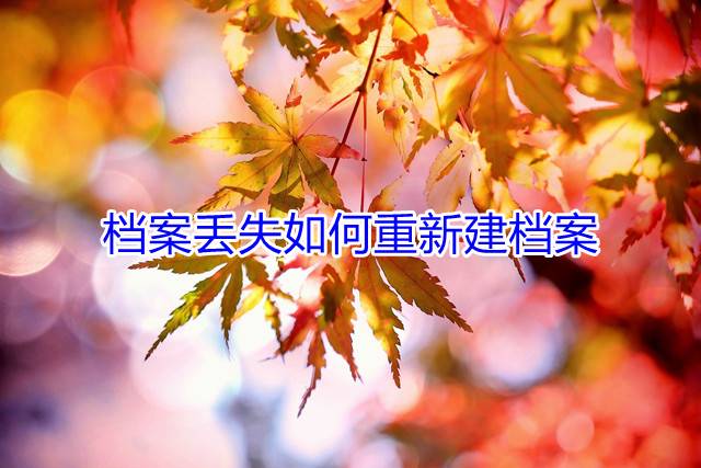 档案丢失如何重新建档案