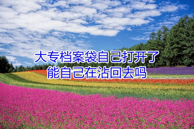 大专档案袋自己打开了能自己在沾回去吗