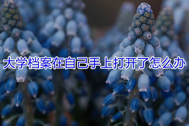 大学档案在自己手上打开了怎么办