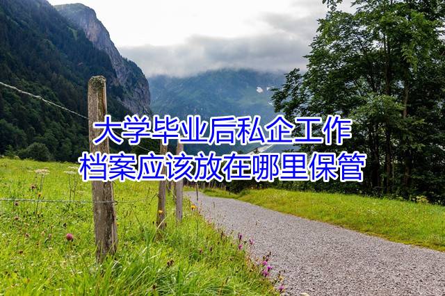 大学毕业后私企工作档案应该放在哪里保管