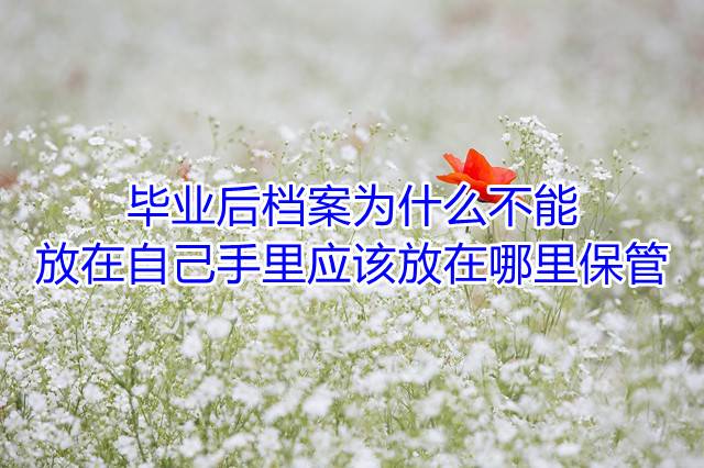 毕业后档案为什么不能放在自己手里，应该放在哪里保管