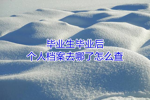 毕业生毕业后个人档案去哪了怎么查