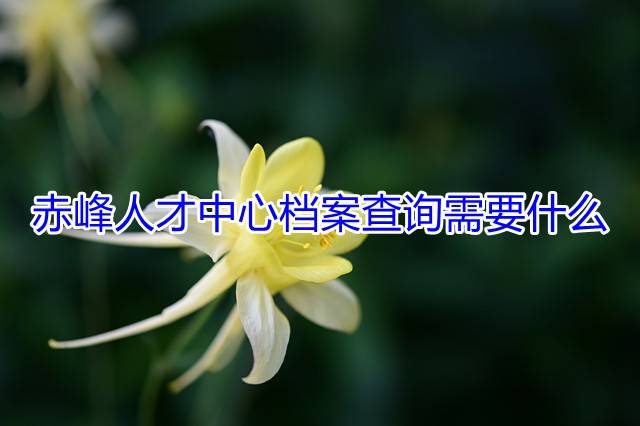 赤峰人才中心档案查询需要什么
