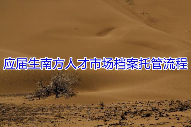 应届生南方人才市场档案托管流程