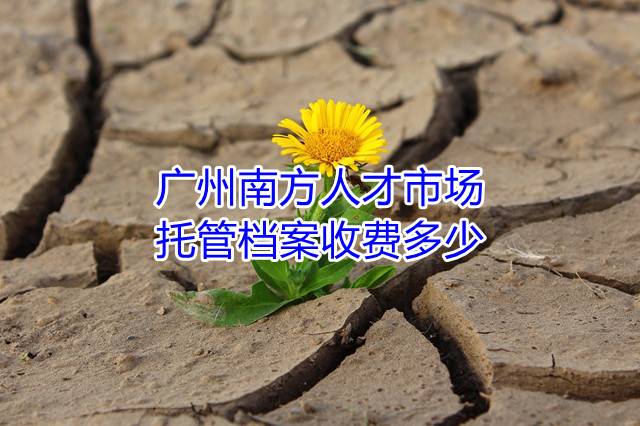 广州南方人才市场托管档案收费多少