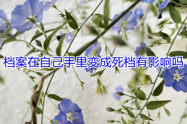 档案在自己手里变成死档有影响吗