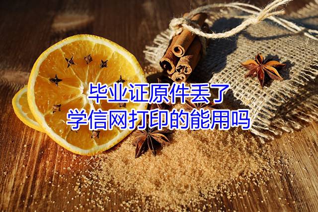 毕业证原件丢了学信网打印的能用吗