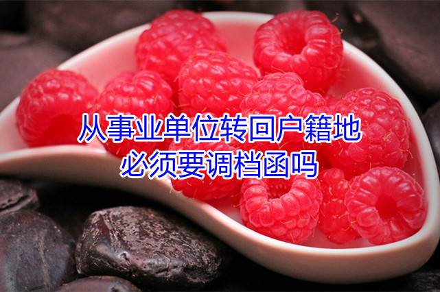 从事业单位转回户籍地必须要调档函吗