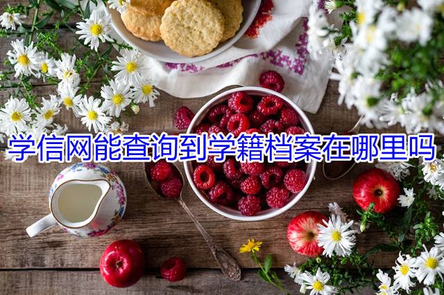 学信网能查询到学籍档案在哪里吗