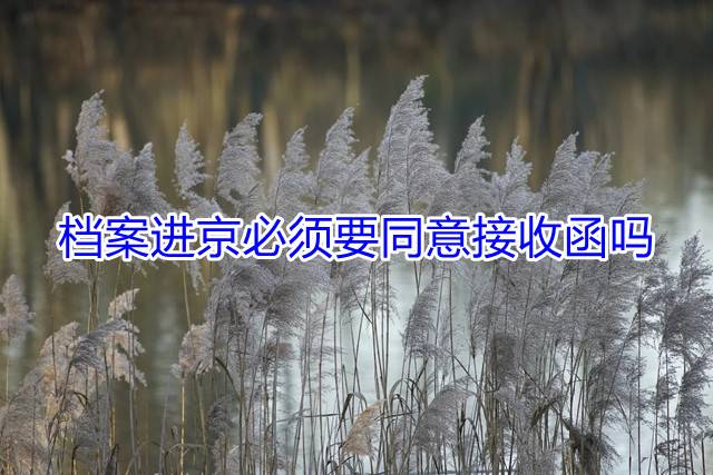档案进京必须要同意接收函吗