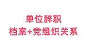 单位辞职后个人档案怎么办，党组织关系怎么办