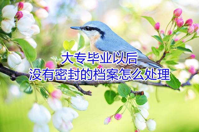 大专毕业以后没有密封的档案怎么处理