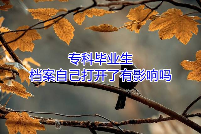 专科毕业生档案自己打开了有影响吗