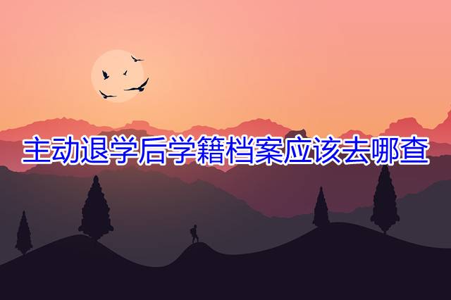 主动退学后学籍档案应该去哪查