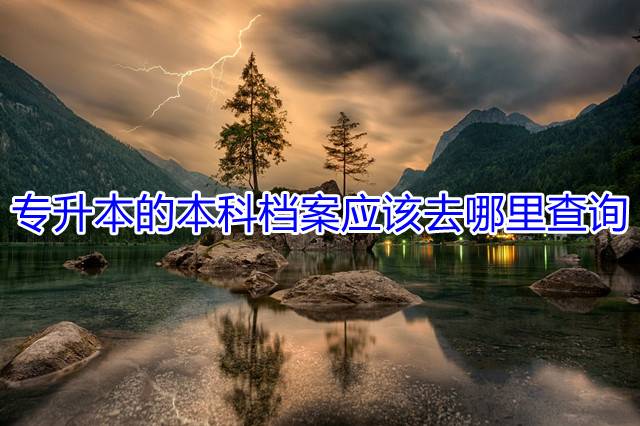 专升本的本科档案应该去哪里查询
