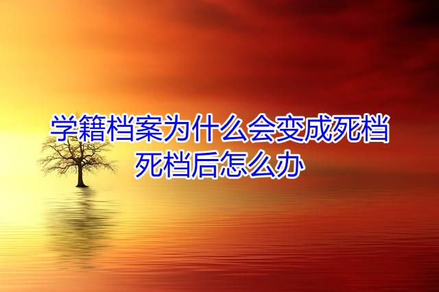 学籍档案为什么会变成死档，死档后怎么办
