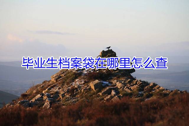 毕业生档案袋在哪里怎么查