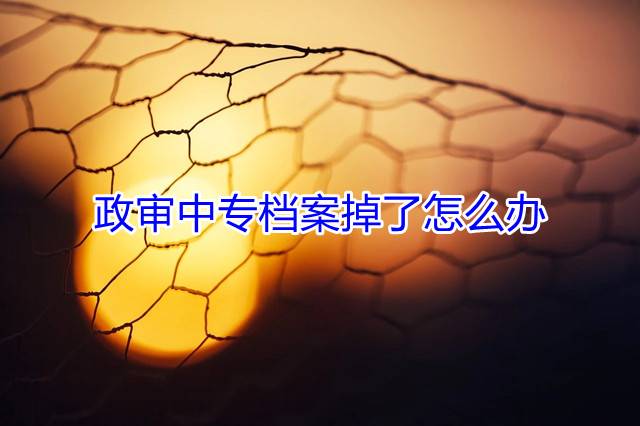 政审中专档案掉了怎么办
