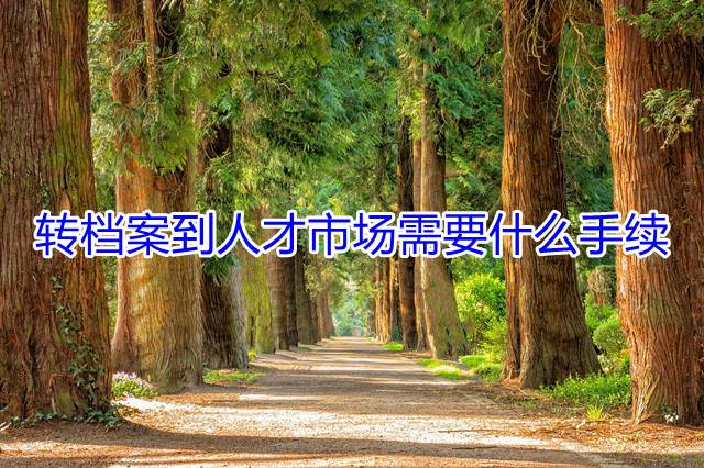 转档案到人才市场需要什么手续