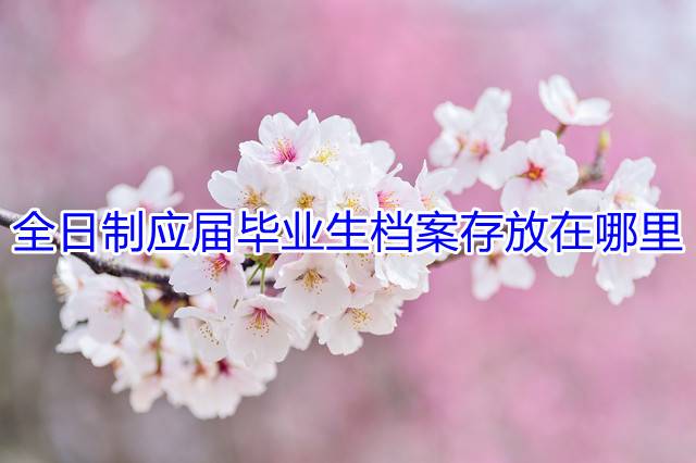 全日制应届毕业生档案存放在哪里